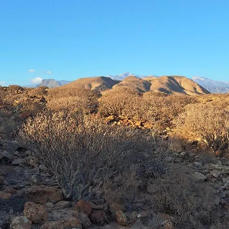 Apartment Casa Remo Palm-mar