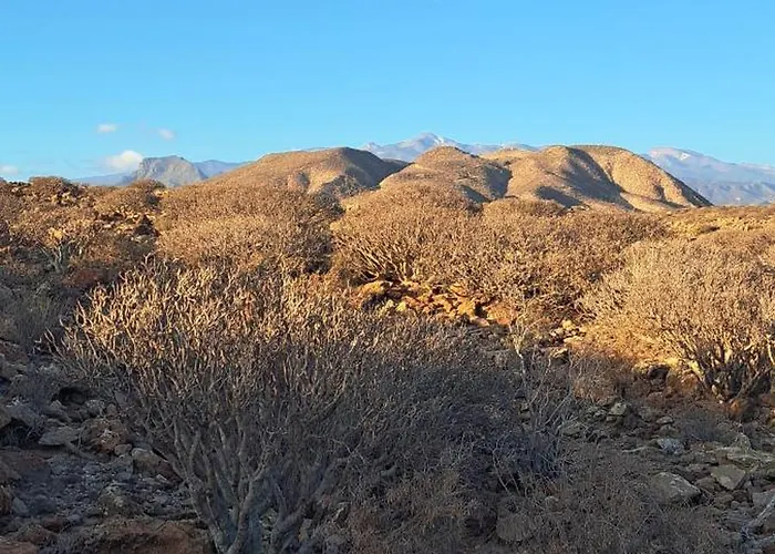 아파트 Casa Remo 팔름-마르