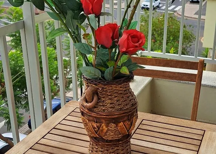 Casa Remo パルム・マール