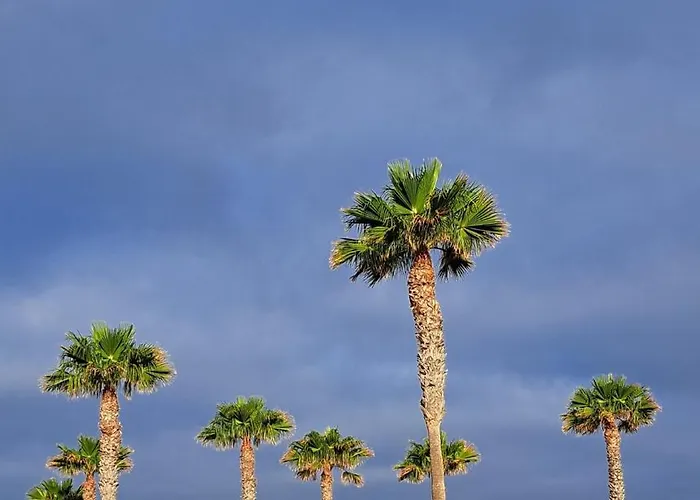 Casa Remo アパート *